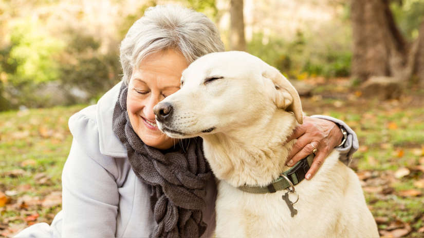 convivencia exitosa con un perro de raza Grande